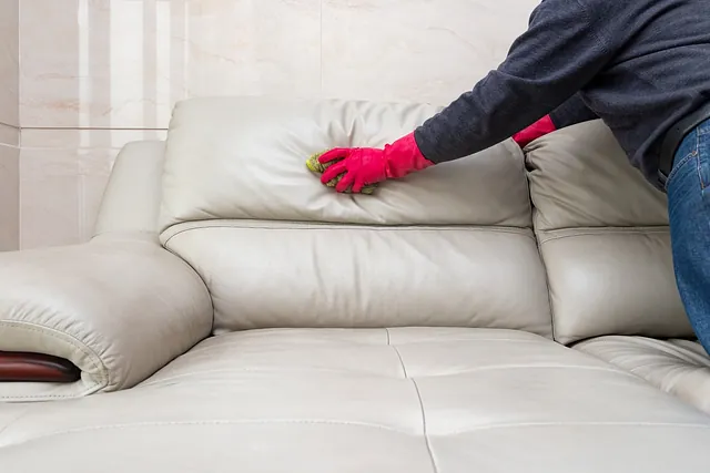 manos con guantes rojos limpian sofa tapizad